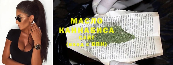 гашик Няндома