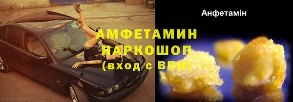 гашик Няндома