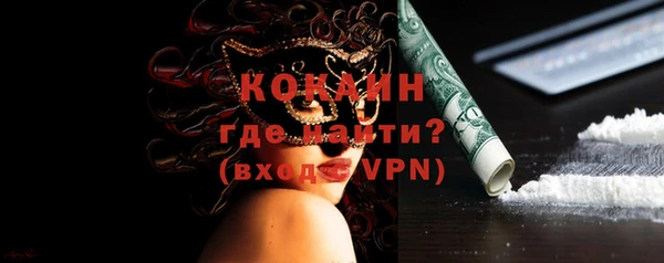 гашик Няндома