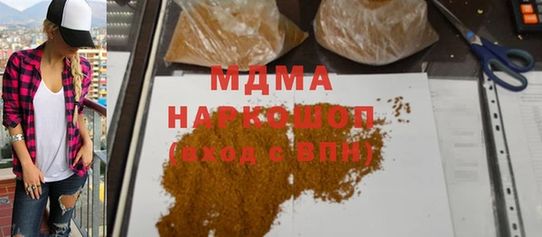 гашик Няндома